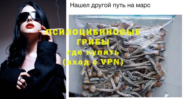 кристаллы Краснослободск