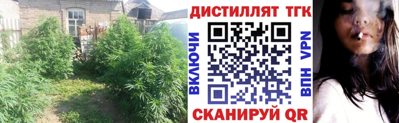 Дистиллят ТГК гашишное масло  Купить  Завитинск 