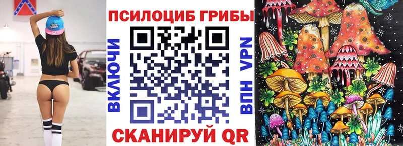 Купить где  Завитинск  Псилоцибиновые грибы Cubensis 
